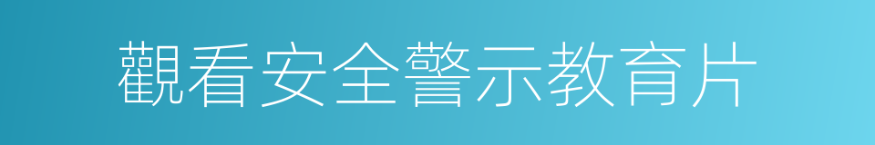 觀看安全警示教育片的同義詞