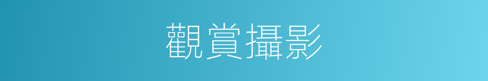 觀賞攝影的同義詞