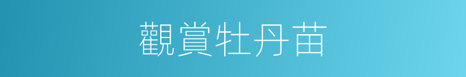 觀賞牡丹苗的同義詞