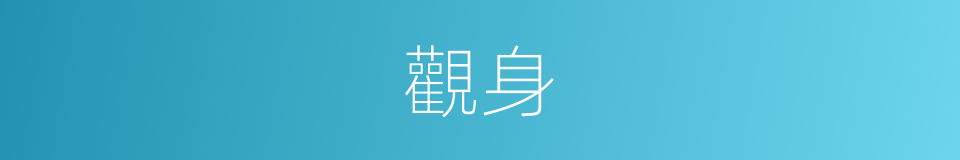觀身的意思