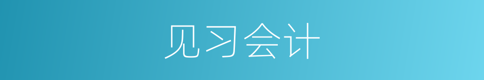 见习会计的同义词
