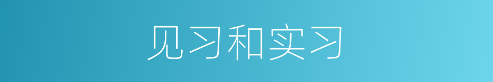 见习和实习的同义词