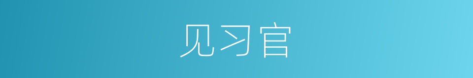 见习官的同义词