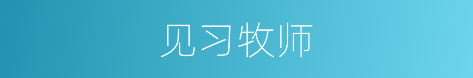 见习牧师的同义词