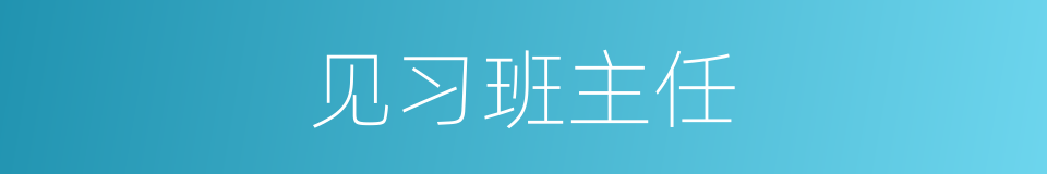 见习班主任的同义词