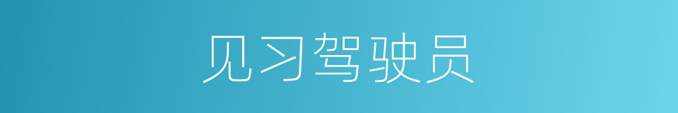 见习驾驶员的同义词