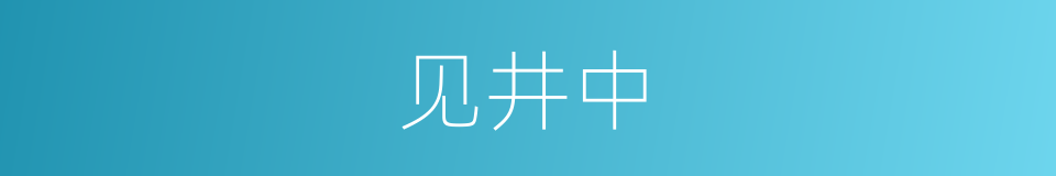 见井中的同义词