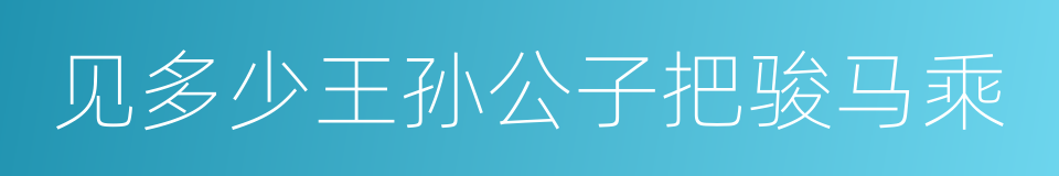 见多少王孙公子把骏马乘的同义词