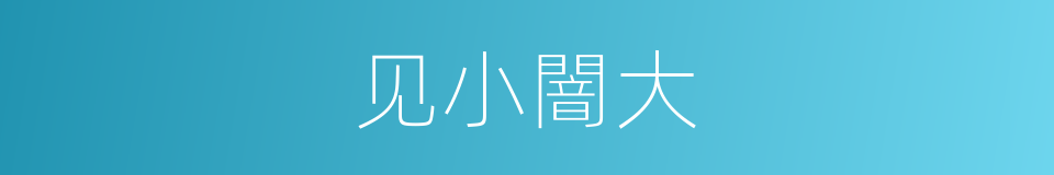 见小闇大的意思