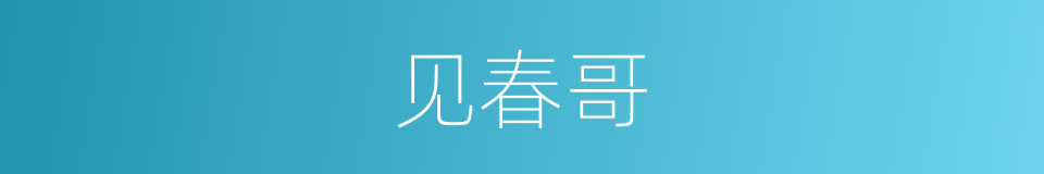 见春哥的同义词