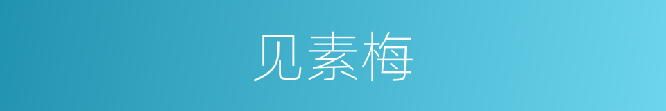 见素梅的同义词