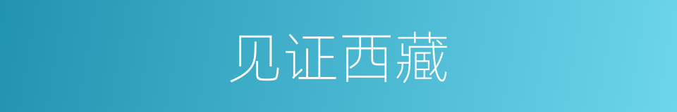 见证西藏的同义词