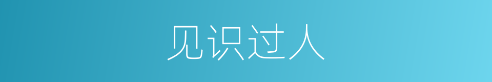 见识过人的同义词