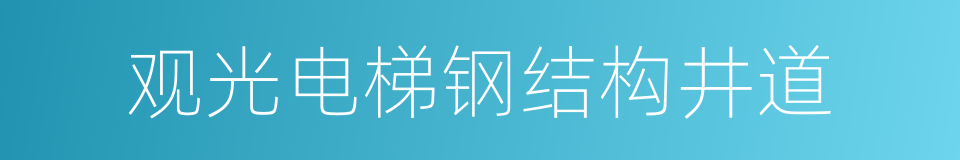 观光电梯钢结构井道的同义词