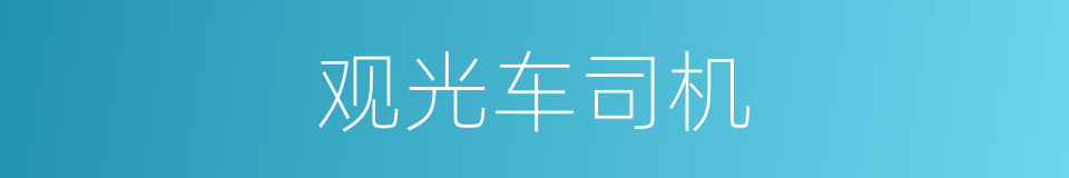 观光车司机的同义词