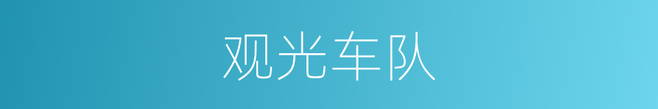 观光车队的同义词