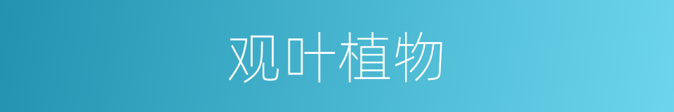 观叶植物的同义词