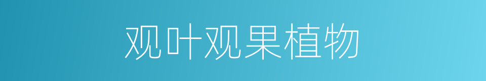 观叶观果植物的同义词