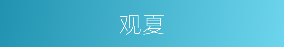 观夏的同义词