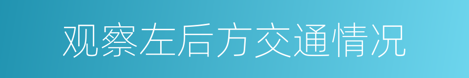 观察左后方交通情况的同义词