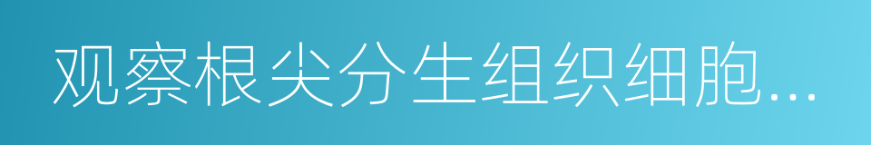 观察根尖分生组织细胞的有丝分裂的同义词