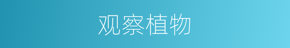观察植物的意思