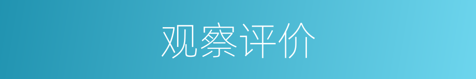 观察评价的同义词