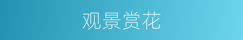 观景赏花的同义词
