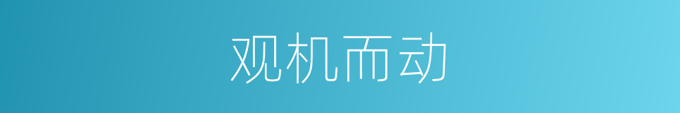 观机而动的意思
