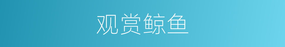 观赏鲸鱼的同义词