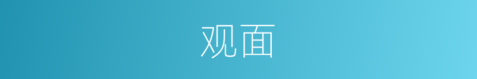 观面的同义词