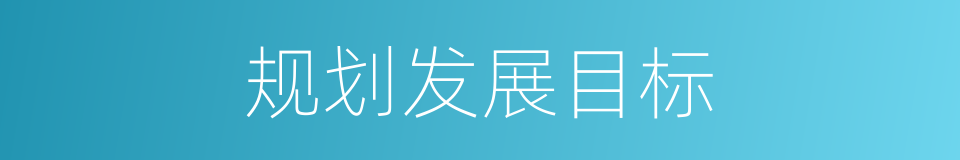 规划发展目标的同义词