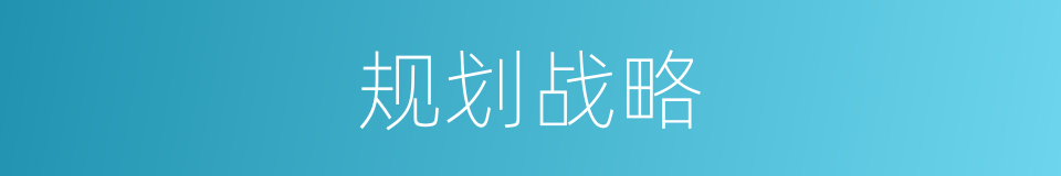规划战略的同义词