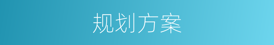 规划方案的同义词