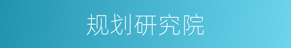 规划研究院的同义词