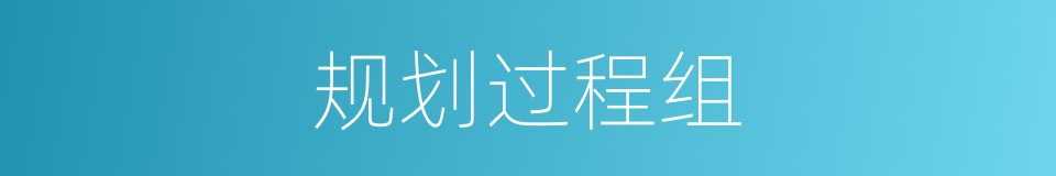 规划过程组的同义词