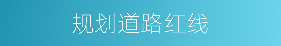 规划道路红线的同义词