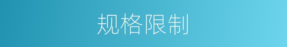 规格限制的同义词