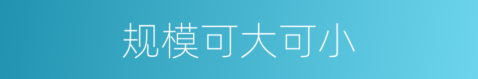 规模可大可小的同义词