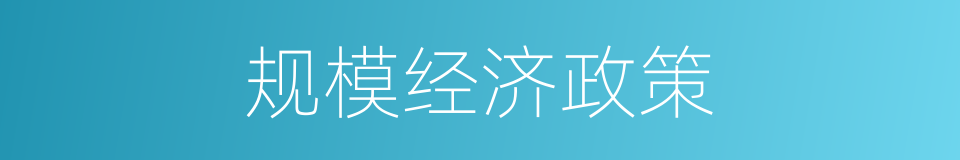 规模经济政策的同义词