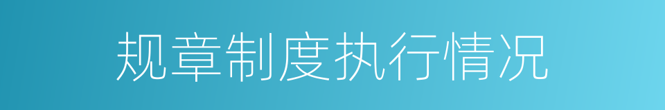 规章制度执行情况的同义词