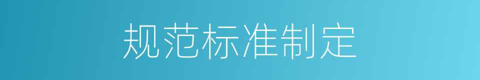 规范标准制定的同义词