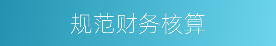 规范财务核算的同义词