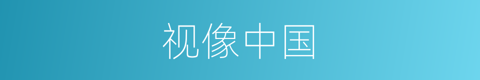 视像中国的同义词