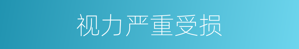视力严重受损的同义词
