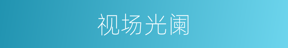 视场光阑的意思