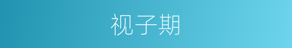 视子期的同义词