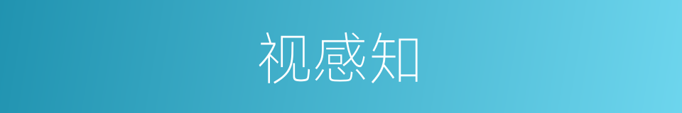 视感知的同义词