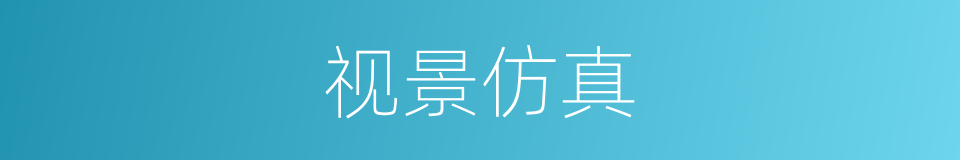 视景仿真的同义词