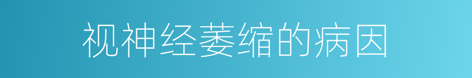 视神经萎缩的病因的同义词